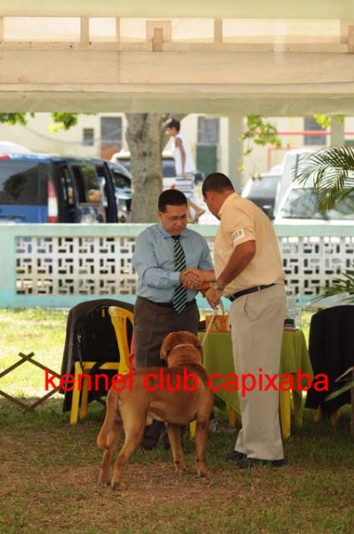 Clique sobre a foto para fechar